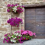 Il Poggio Della Luna Piegaro (Umbria)