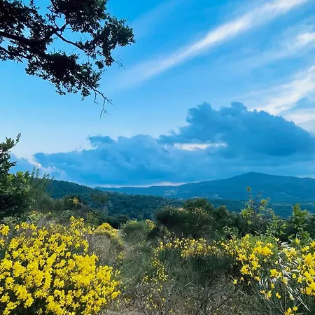 Il Poggio Della Luna
