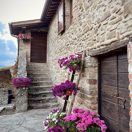 Holiday home Il Poggio Della Luna Piegaro (Umbria)
