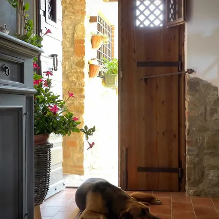 Il Poggio Della Luna 度假居 *