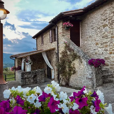 Il Poggio Della Luna Dom wakacyjny Piegaro (Umbria)