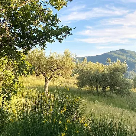 Il Poggio Della Luna