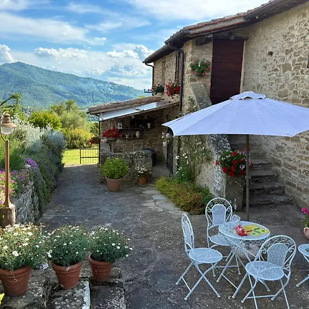 Il Poggio Della Luna Piegaro (Umbria)