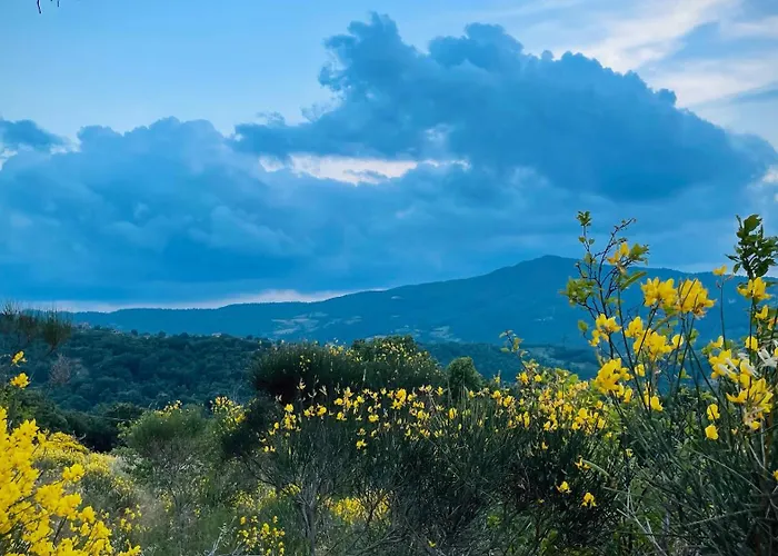 Il Poggio Della Luna *