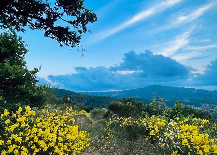 Il Poggio Della Luna