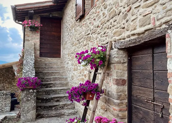 Dom wakacyjny Il Poggio Della Luna Piegaro (Umbria)