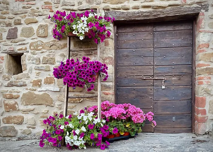 Il Poggio Della Luna Piegaro (Umbria)