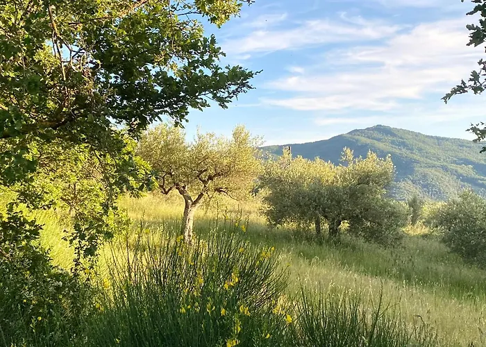 Il Poggio Della Luna